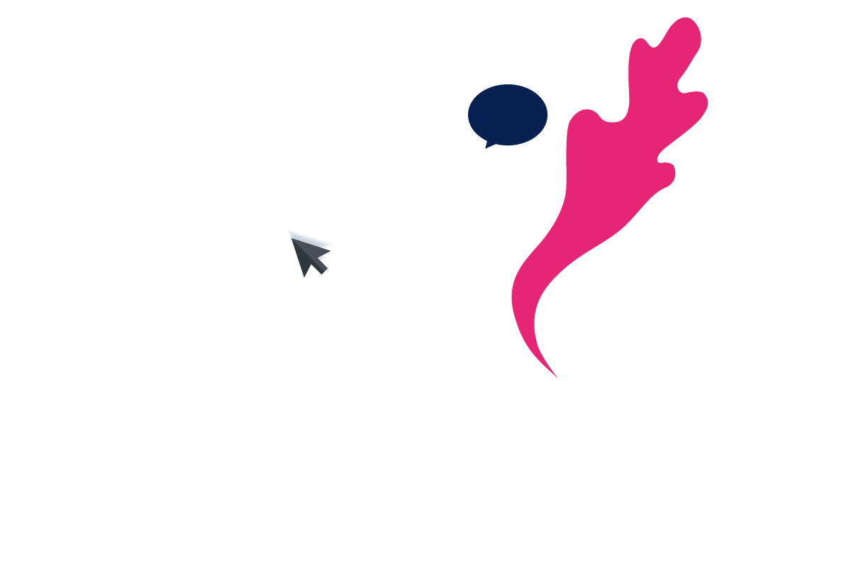 anioa software house for all companies